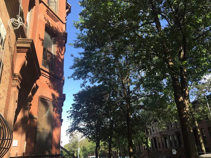 Pratt Realty of Nyc LLC Picture 5