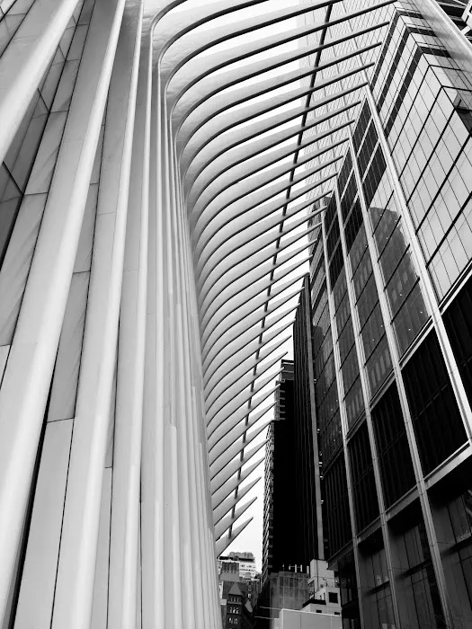 CABION MARQUIS INC. Picture 2