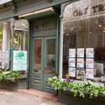 Oak Tree LLC