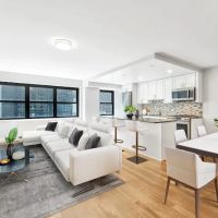 Vector New York ico