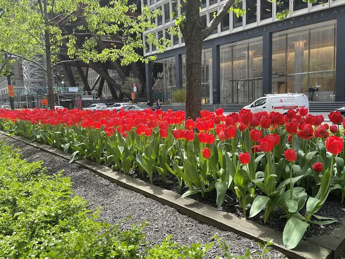 Park Avenue International Partners Inc Picture 1