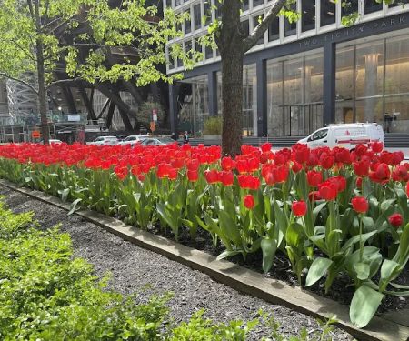 Park Avenue International Partners Inc