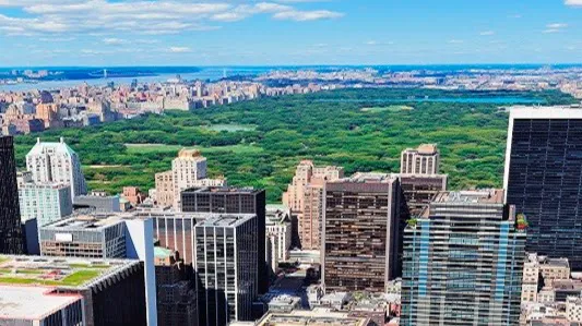Manhattan Boutique Real Estate Picture 2