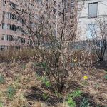 Manhattan Boutique Real Estate