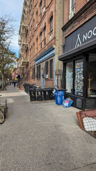 Nooklyn: Crown Heights Picture 3