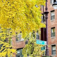 Two Beekman Pl Building ico