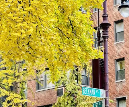 Two Beekman Pl Building