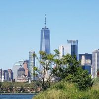 Tyler Vincent Real Estate Inc. ico