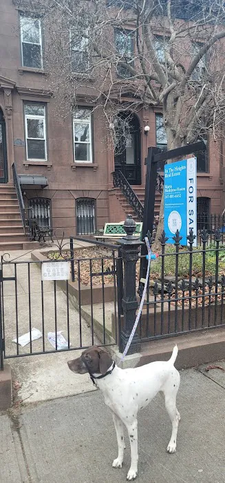 In The Heights Real Estate Picture 3