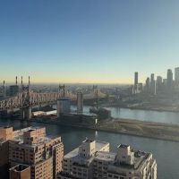 Oriana ico
