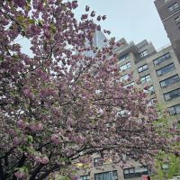 400 East 55th Street Associates ico
