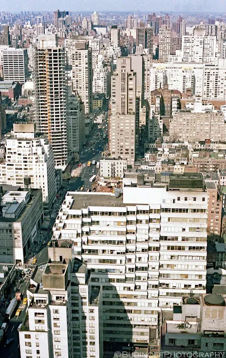 Carlton East Picture 1