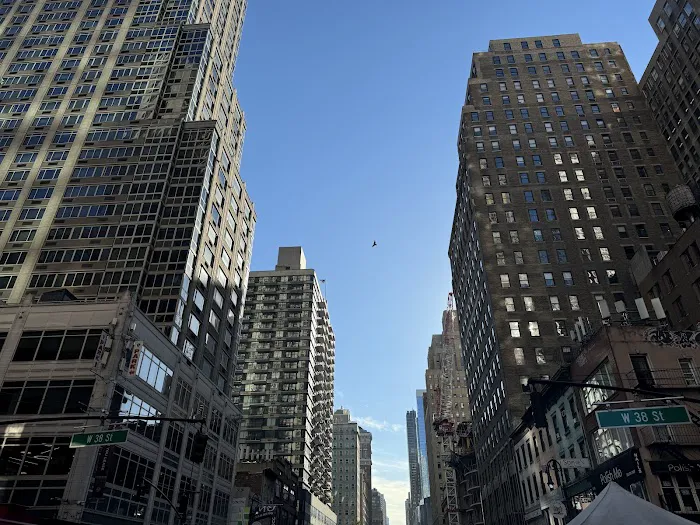 Atlas New York Picture 3