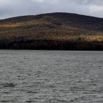 Vornado Realty Trust