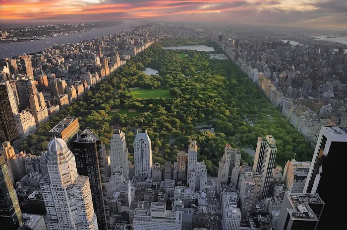 Nikolas Chen | 纽约地产经纪 | Manhattan Agent | Keller Williams NYC Picture 9