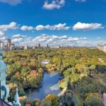 Dolly Lenz Real Estate