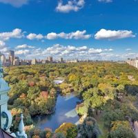 Dolly Lenz Real Estate ico