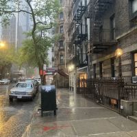 MOTION New York ico