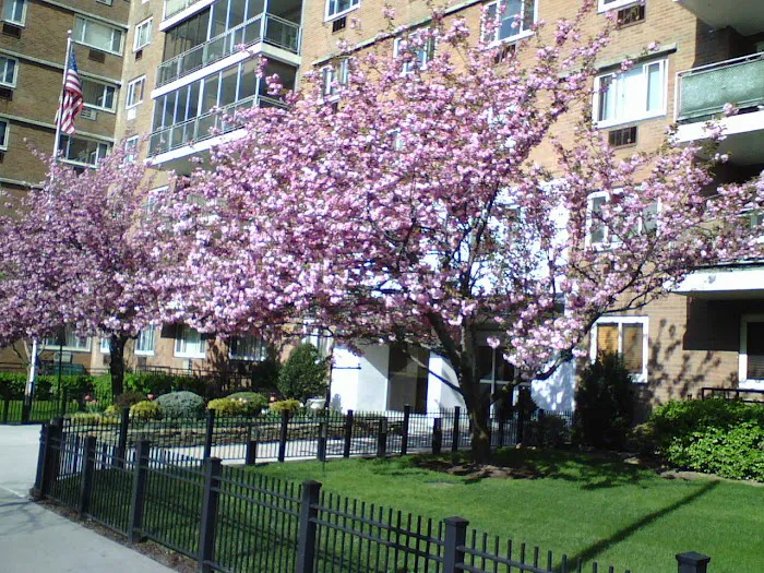 Berkeley Co-Op Towers Picture 1