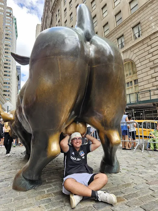 Charging Bull Realty Picture 4