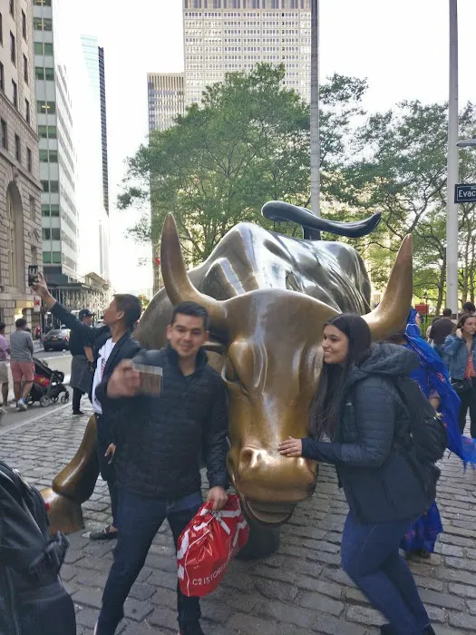 Charging Bull Realty Picture 1