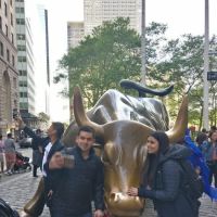 Charging Bull Realty ico