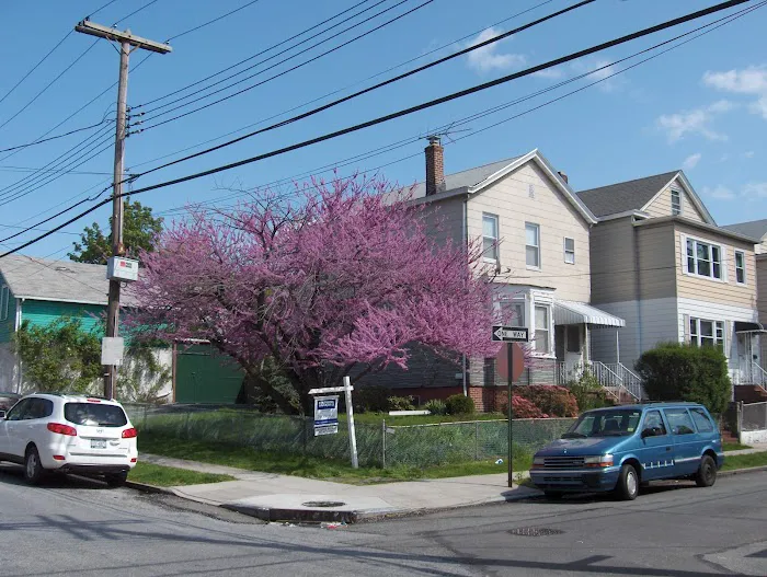 Chris Boeckhaus Picture 10