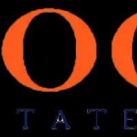 Bloom Real Estate Group ico