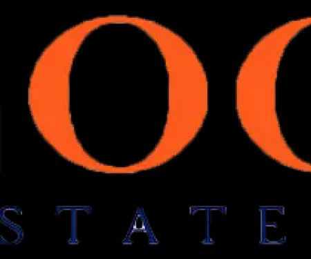 Bloom Real Estate Group