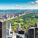 David Borowik, Licensed Real Estate Salesperson