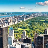 David Borowik, Licensed Real Estate Salesperson ico