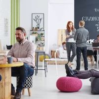 Office Freedom - New York ico