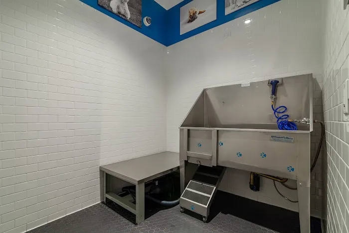 170 Amsterdam Apartments Picture 6