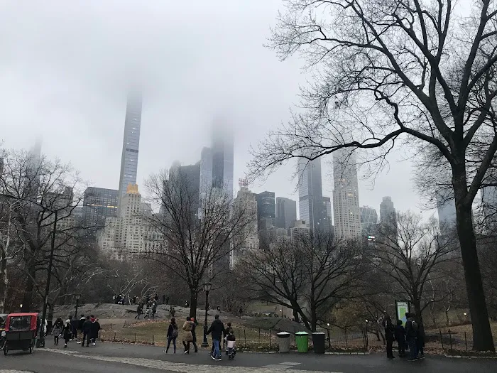Manhattan Skyline Management Company Picture 2