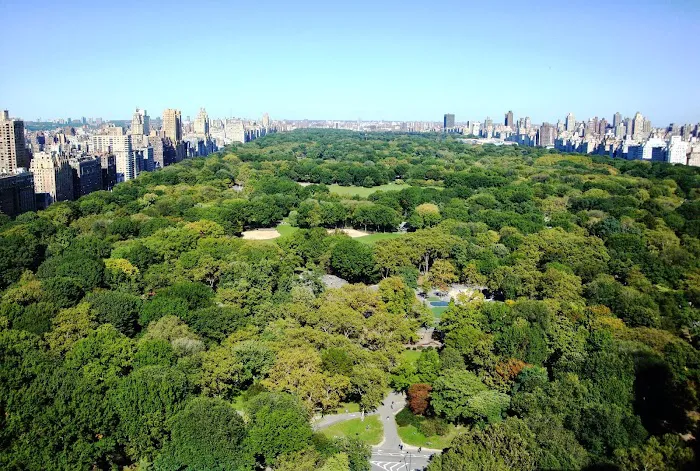 Stephen P Wald Real Estate Picture 5