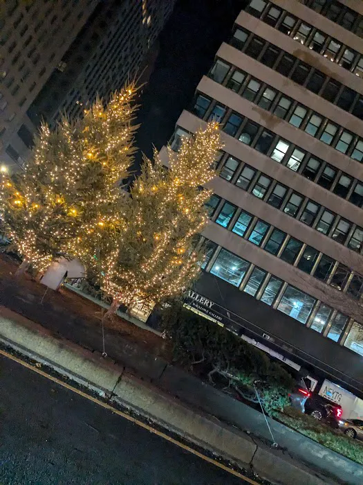 Park Avenue Property Picture 1