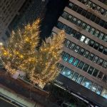 Park Avenue Property