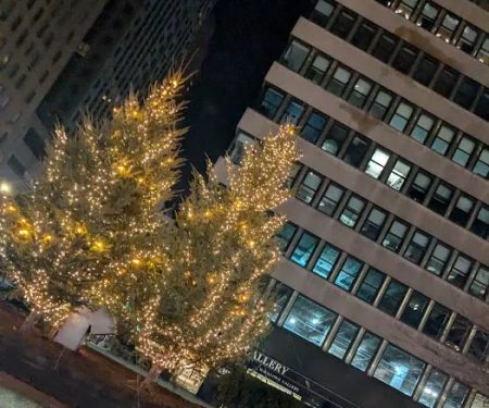 Park Avenue Property