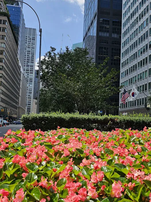 Park Avenue Property Picture 4