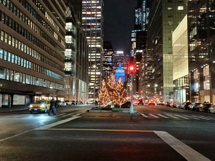 Park Avenue Property Picture 7