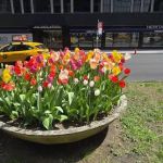 HQ - New York City - 445 Park Avenue