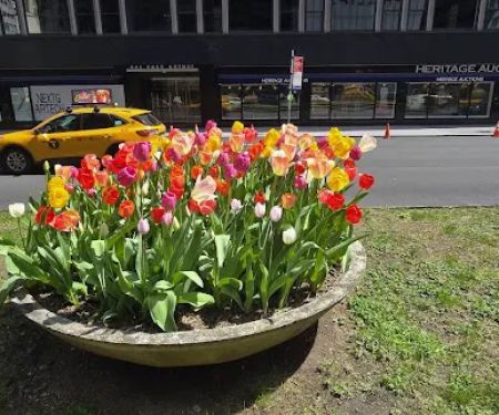 HQ - New York City - 445 Park Avenue