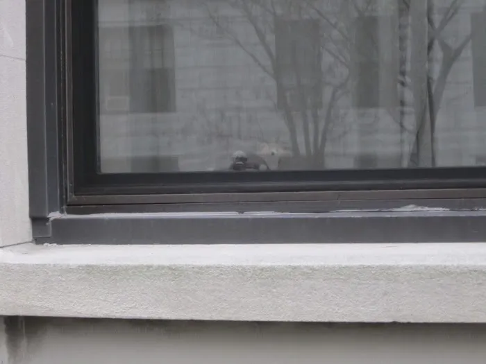 Rent 318 Picture 1