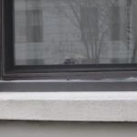 Rent 318
