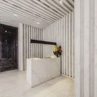 693 Fifth Avenue ico