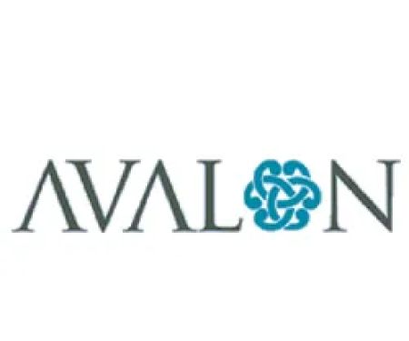 Avalon Partners Ltd