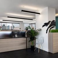 Cavalry Management ico