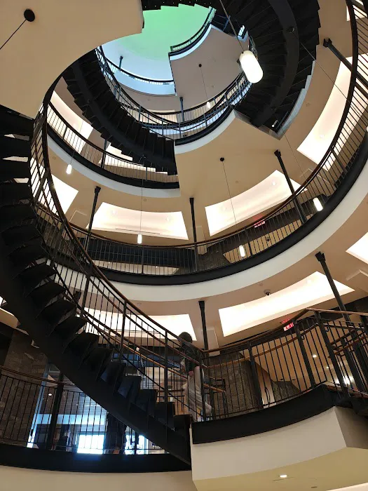 The Octagon Picture 10
