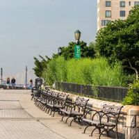 The Arden NYC Luxury Rentals ico