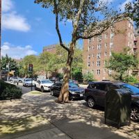 Contact Realty of NYC ico